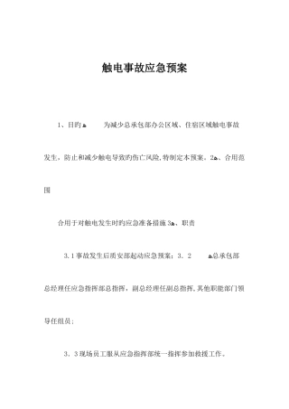 2025年触电事故应急预案