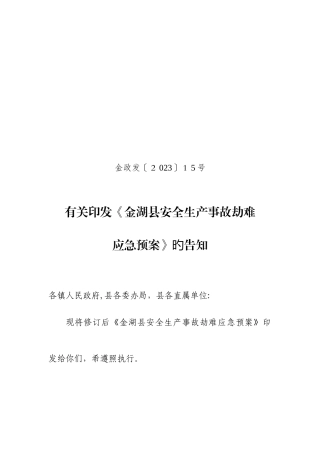 2025年金湖安全生产事故灾难应急预案