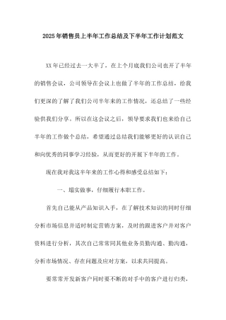 2025年销售员上半年工作总结及下半年工作计划范文