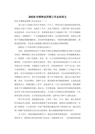 2025年销售试用期工作总结范文