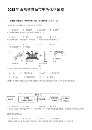 2025年青岛中考化学真题及答案解析