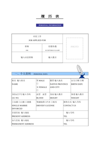 2025年面试履历表