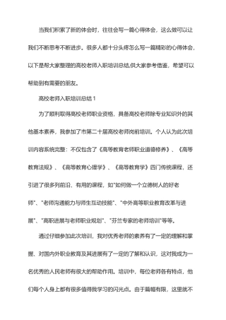2025年高校教师入职培训总结