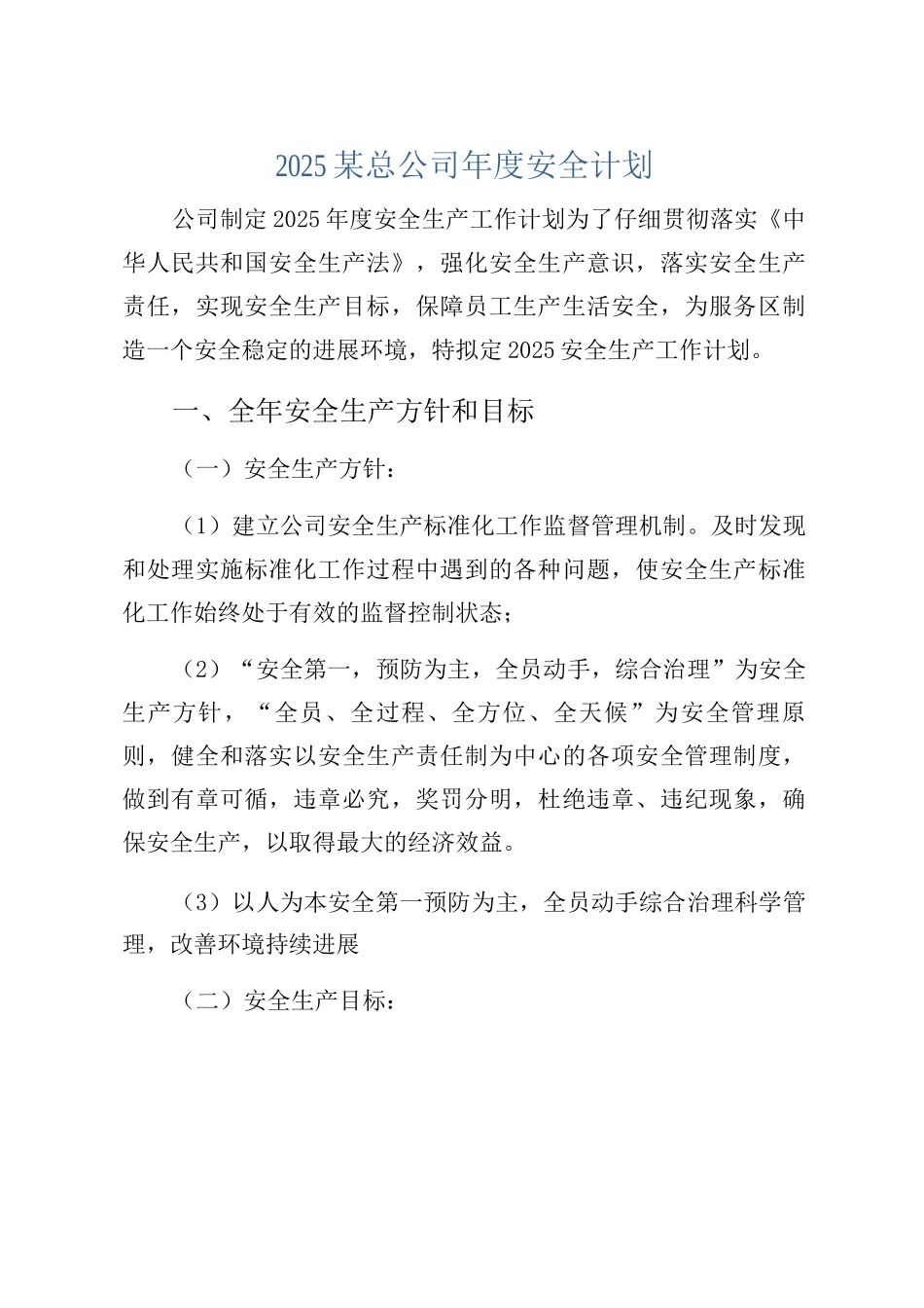 2025某总公司年度安全计划_第1页