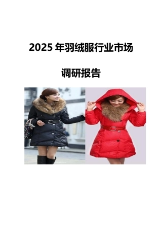 2025羽绒服行业市场调研报告