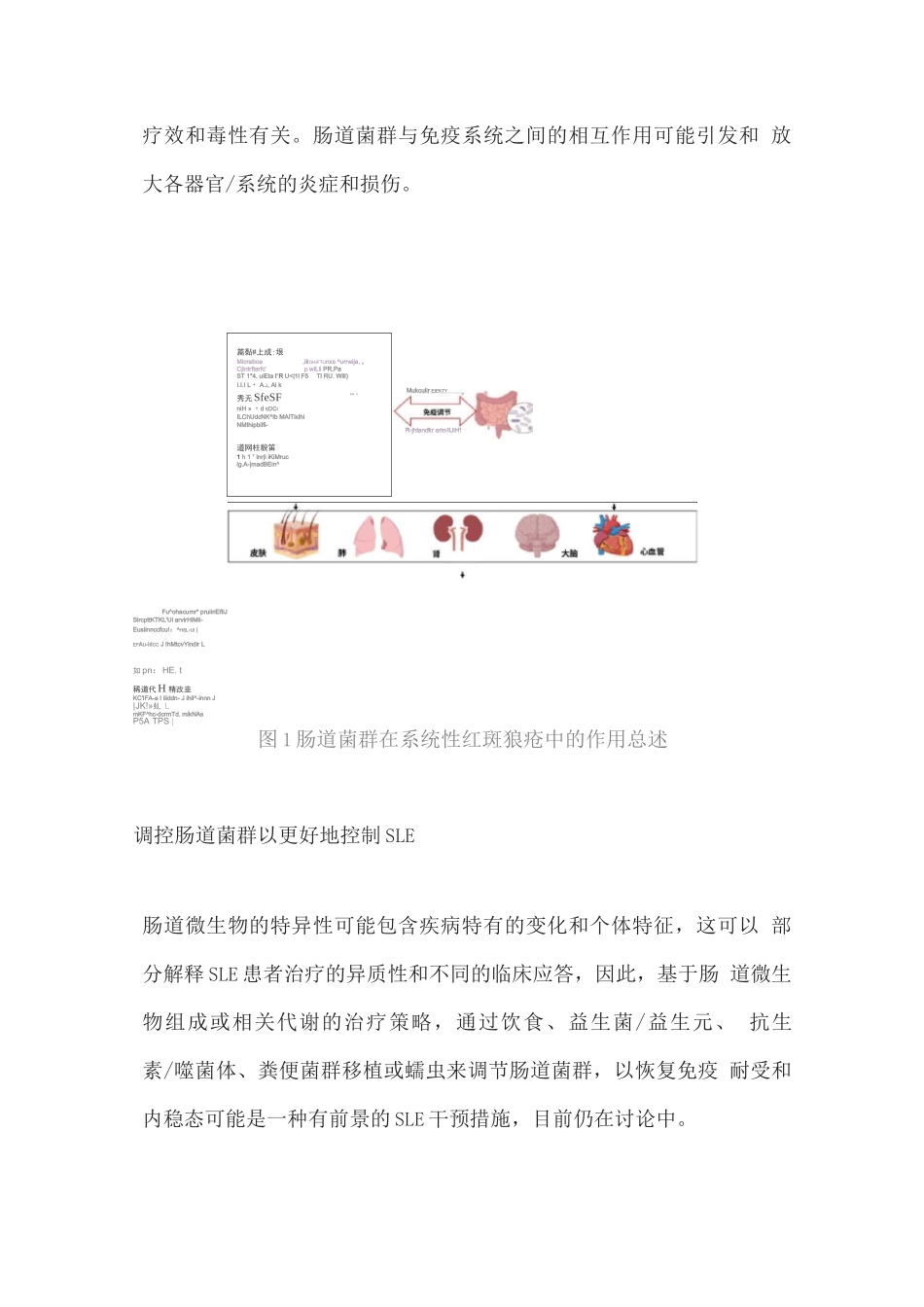 2025肠道菌群在系统性红斑狼疮中的作用与临床应用_第2页