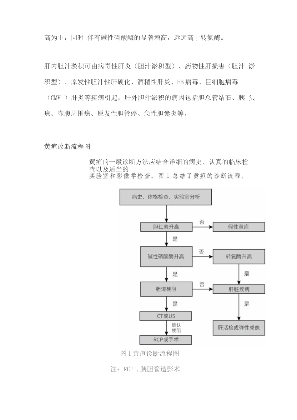 2025黄疸的病因、分类及诊断2_第3页