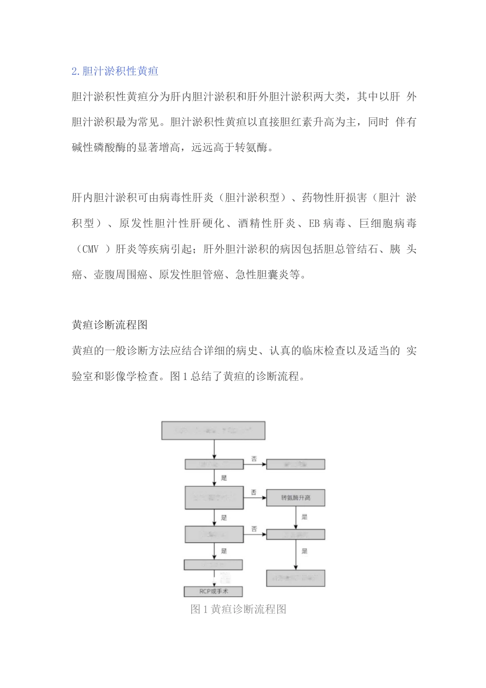 2025黄疸的病因、分类及诊断3_第3页
