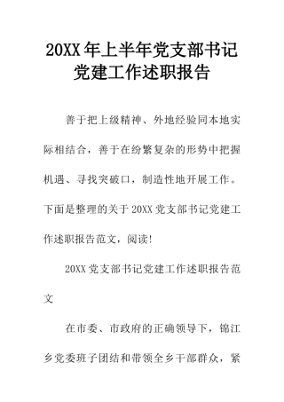 20XX年上半年党支部书记党建工作述职报告