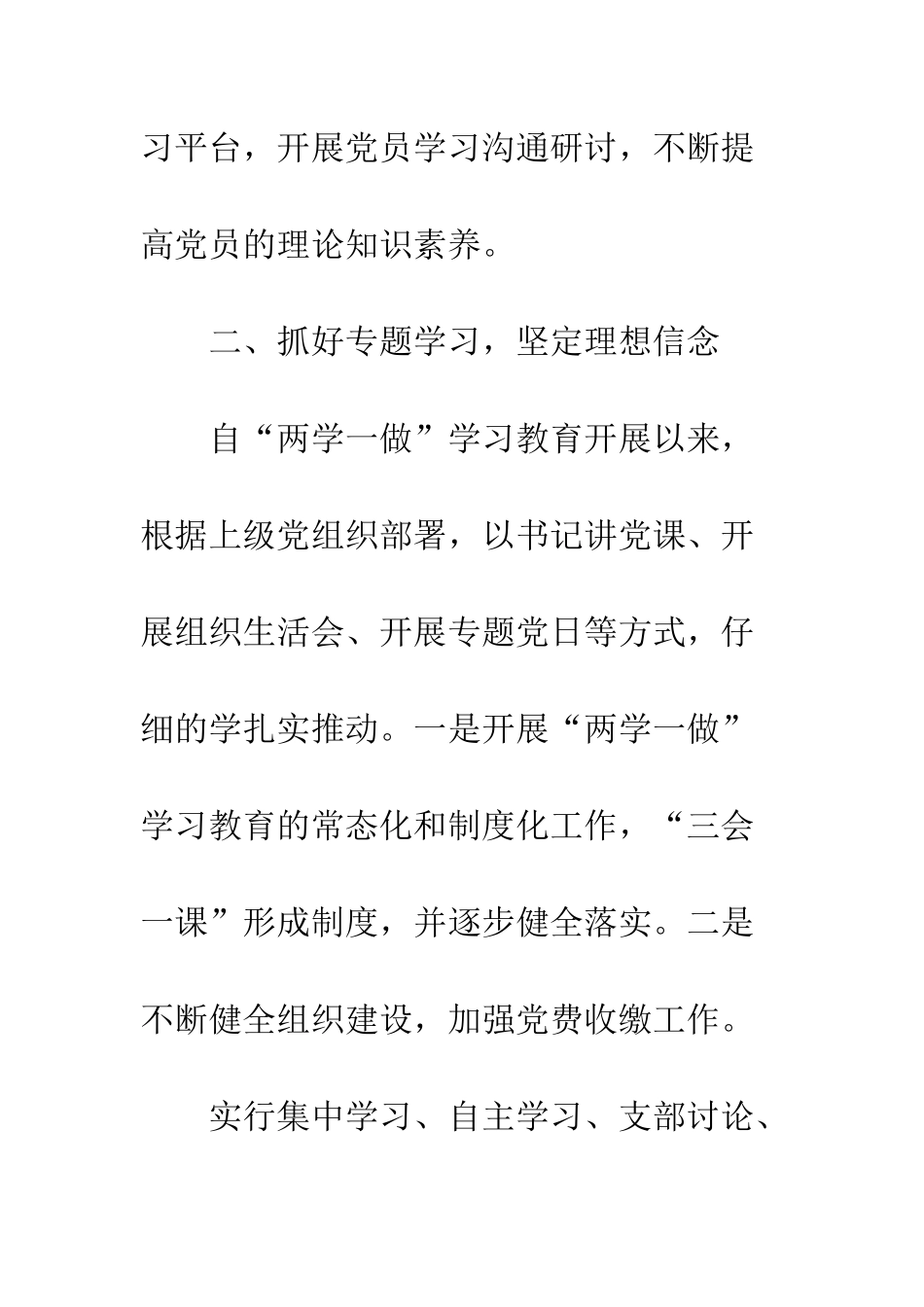 20XX年度农村支部工作总结_第2页
