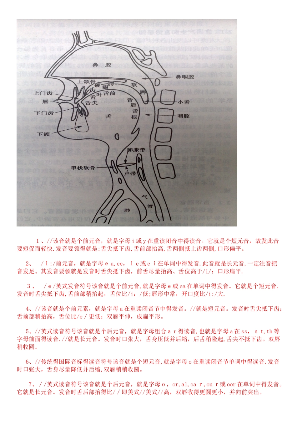 48个国际音标发音部位要领_第1页