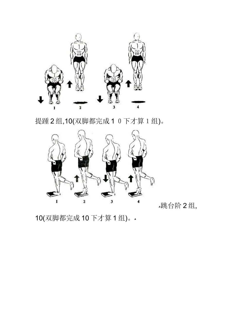 aa4美国弹跳训练计划_第3页