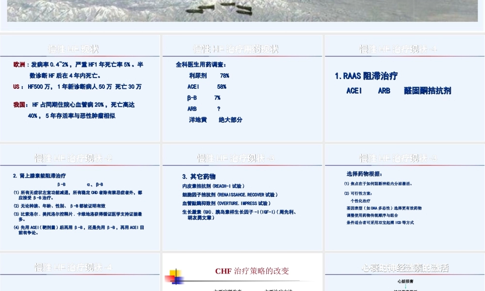 ACEI和ARB在慢性心衰中的应用医学资料优质PPT课件