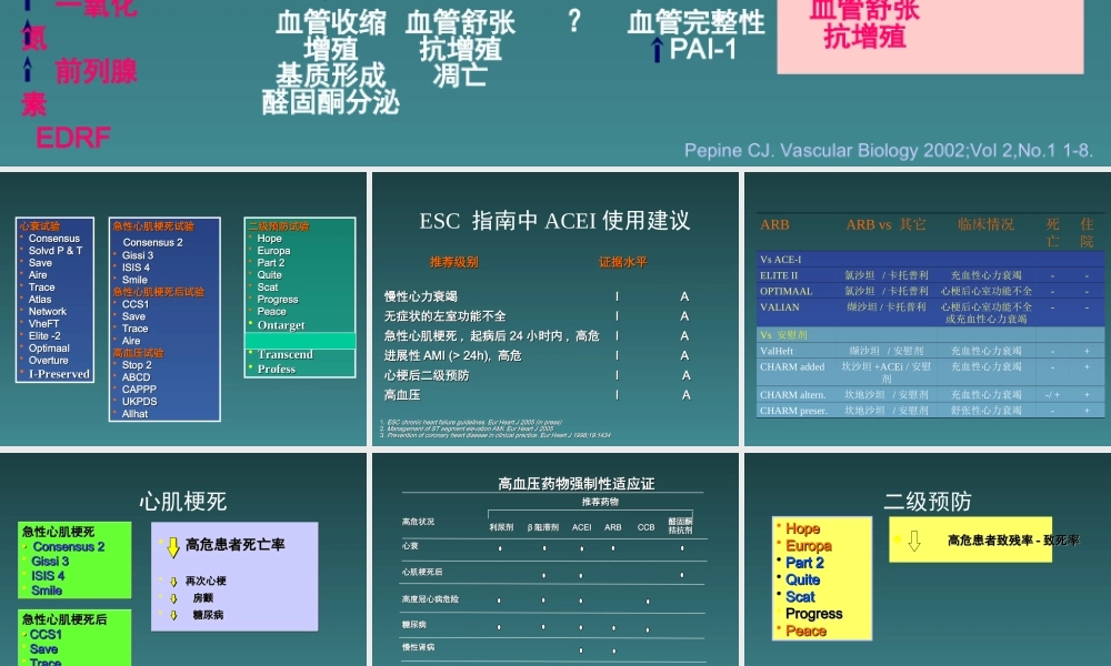 ACEI心血管病治疗的基石药物-医学课件