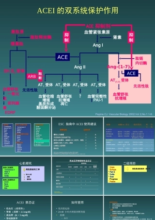 ACEI心血管病治疗的基石药物-医学课件