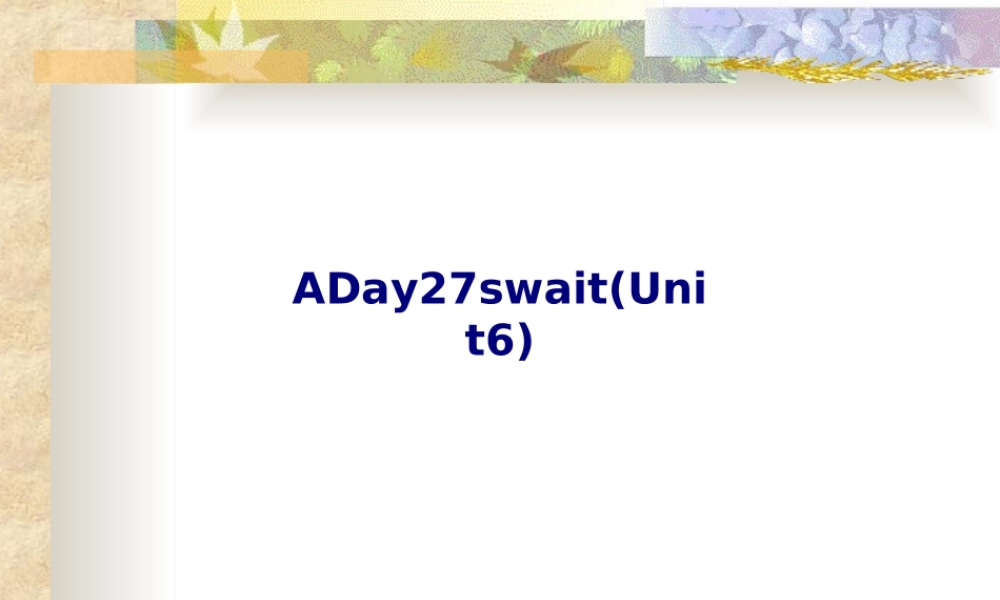 ADayswait专题培训课件