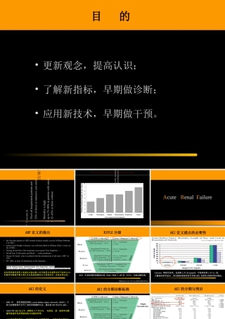 AKI的定义诊疗和治疗课件