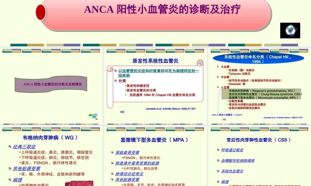 ANCA相关小血管炎优质PPT课件