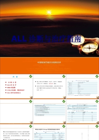 ALL诊断与治疗指南优质PPT课件