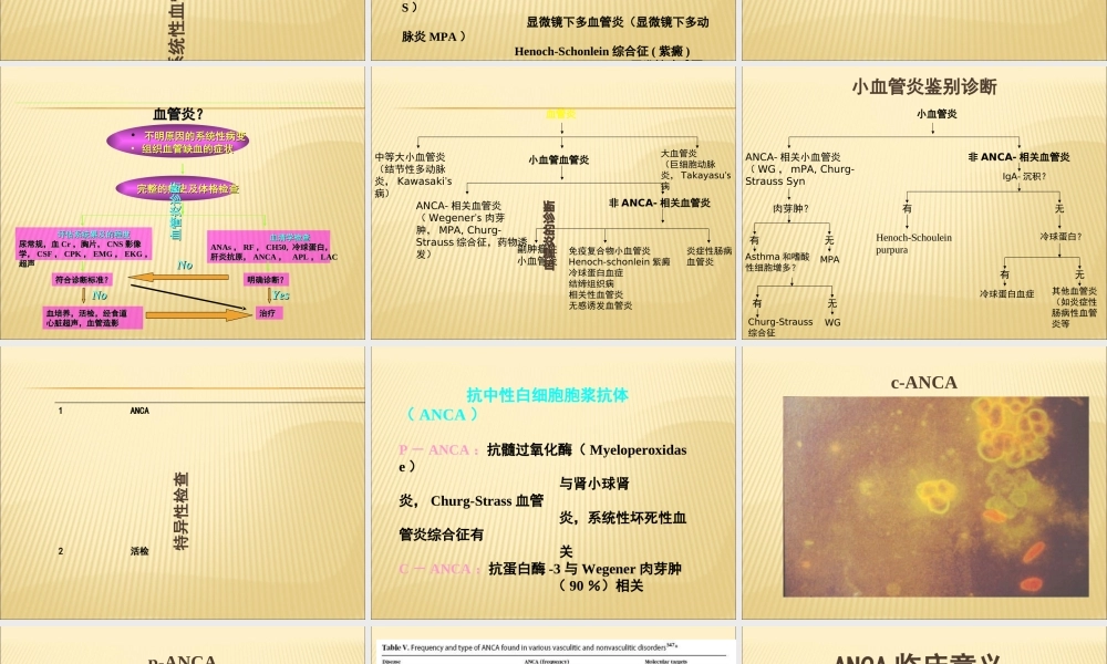 ANCA相关性血管炎诊治PPT优质课件