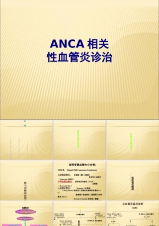 ANCA相关性血管炎诊治PPT优质课件