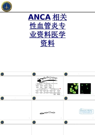ANCA相关性血管炎专业资料医学资料优质PPT课件