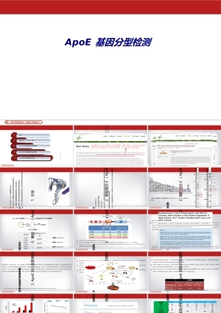 ApoE基因分型检测优质PPT课件