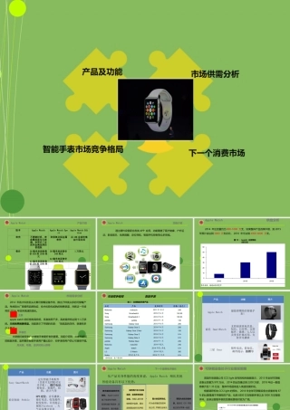 AppleWatch市场分析报告PPT专业课件