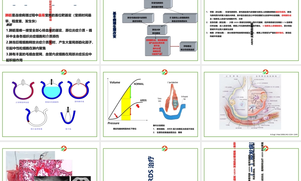 ARDS诊断和治疗指南医学知识讲解讲义
