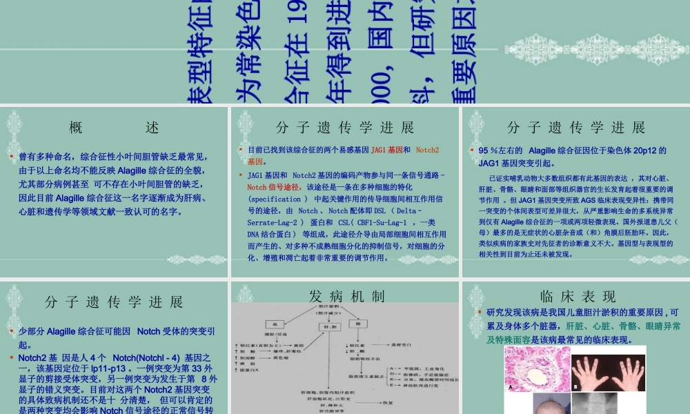 A综合征医学优质PPT课件