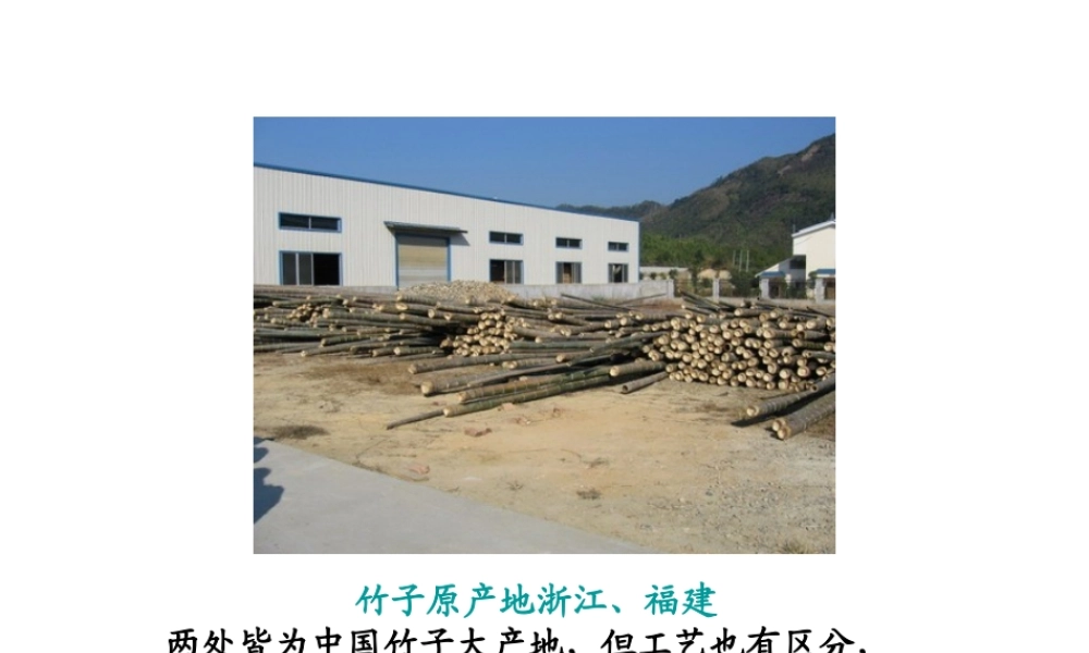 Bamboo竹子的制作流程PPT专业课件
