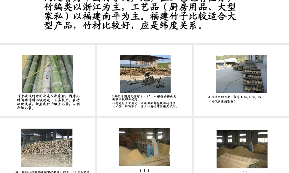 Bamboo竹子的制作流程PPT专业课件