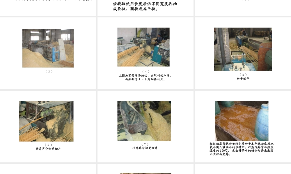 Bamboo竹子的制作流程PPT专业课件