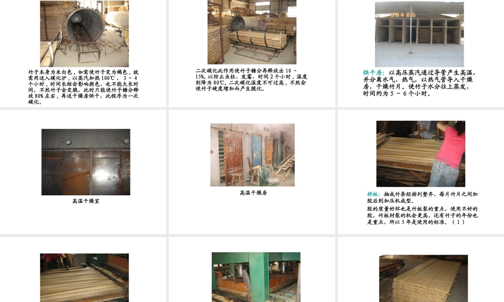 Bamboo竹子的制作流程PPT专业课件