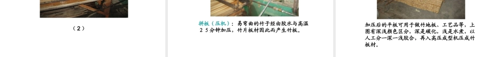 Bamboo竹子的制作流程PPT专业课件