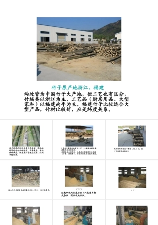 Bamboo竹子的制作流程PPT专业课件