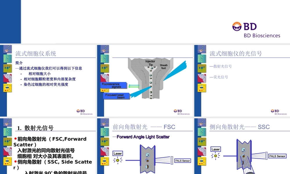 BD流式全面介绍专题培训课件