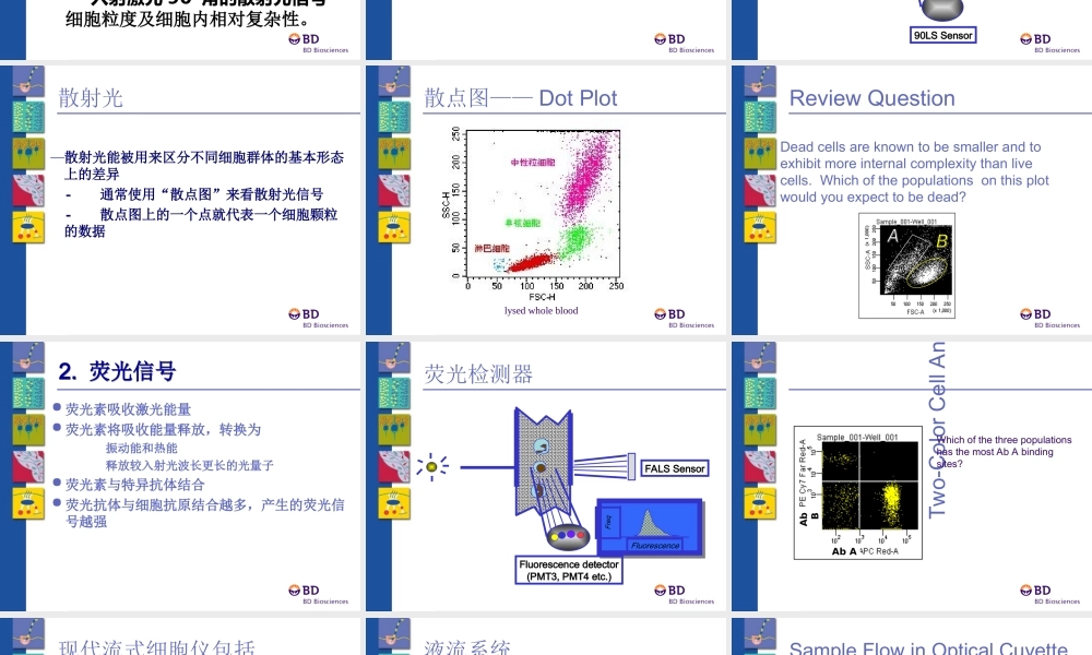 BD流式全面介绍专题培训课件