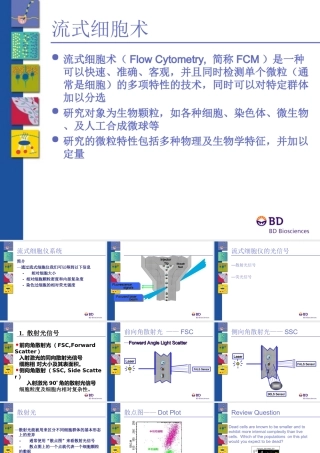 BD流式全面介绍专题培训课件