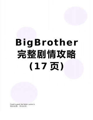 BigBrother完整剧情攻略
