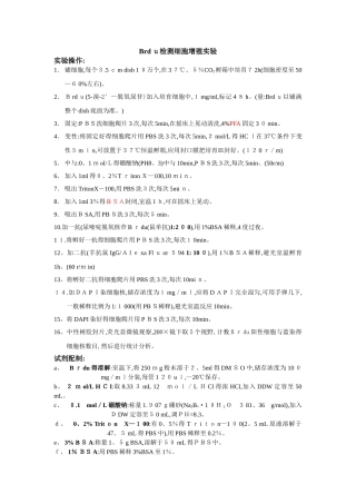 Brdu 细胞增殖检测实验