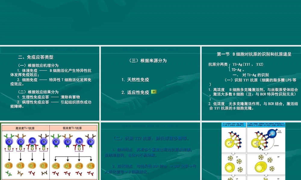 B细胞介导的体液免疫应答课件