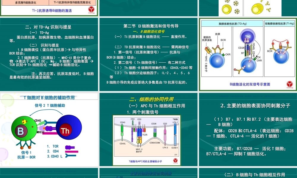 B细胞介导的体液免疫应答课件