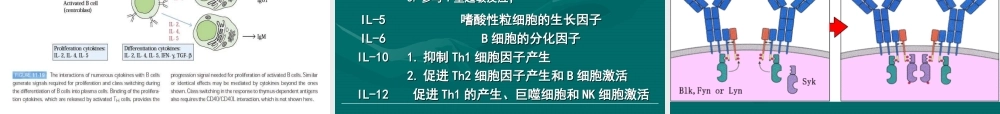 B细胞介导的体液免疫应答课件