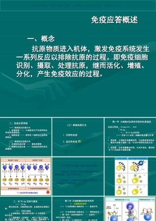 B细胞介导的体液免疫应答课件