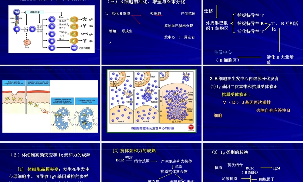 B细胞对抗原的识别和免疫应答课件