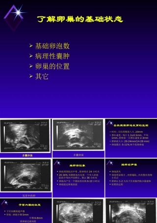 B超监测卵泡发育-医学课件