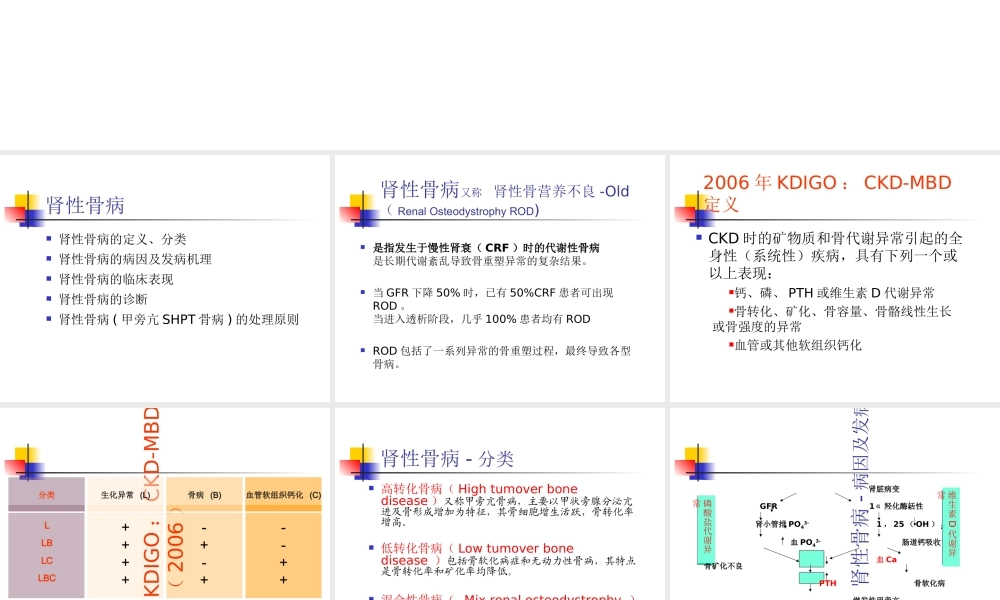 CKDMBD肾性骨病优质PPT课件