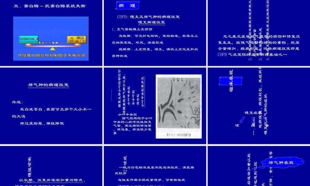 COPD慢阻肺优质PPT课件