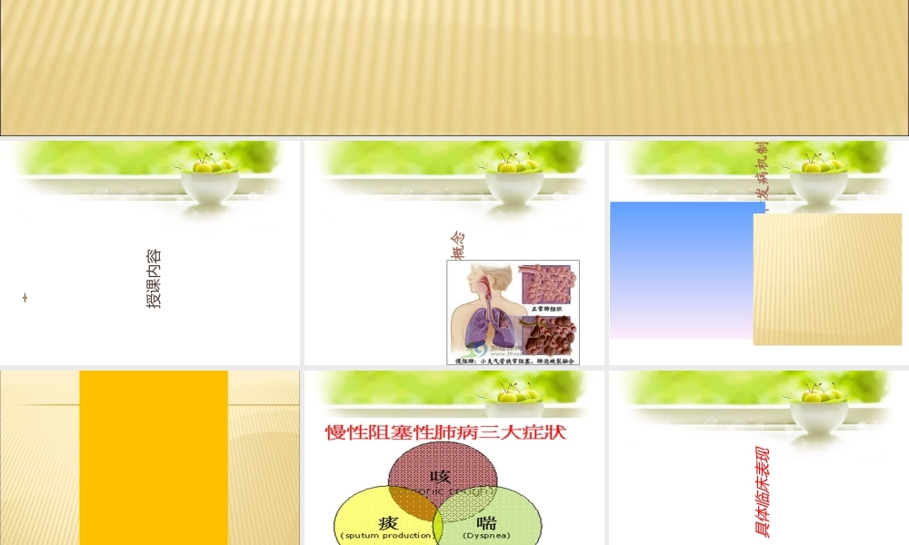 COPD病人的护理优质PPT课件